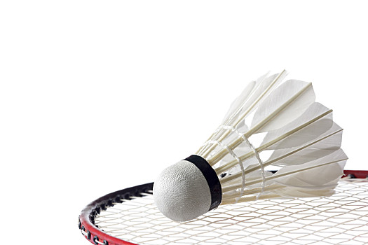 能够灵活应 能够灵活应