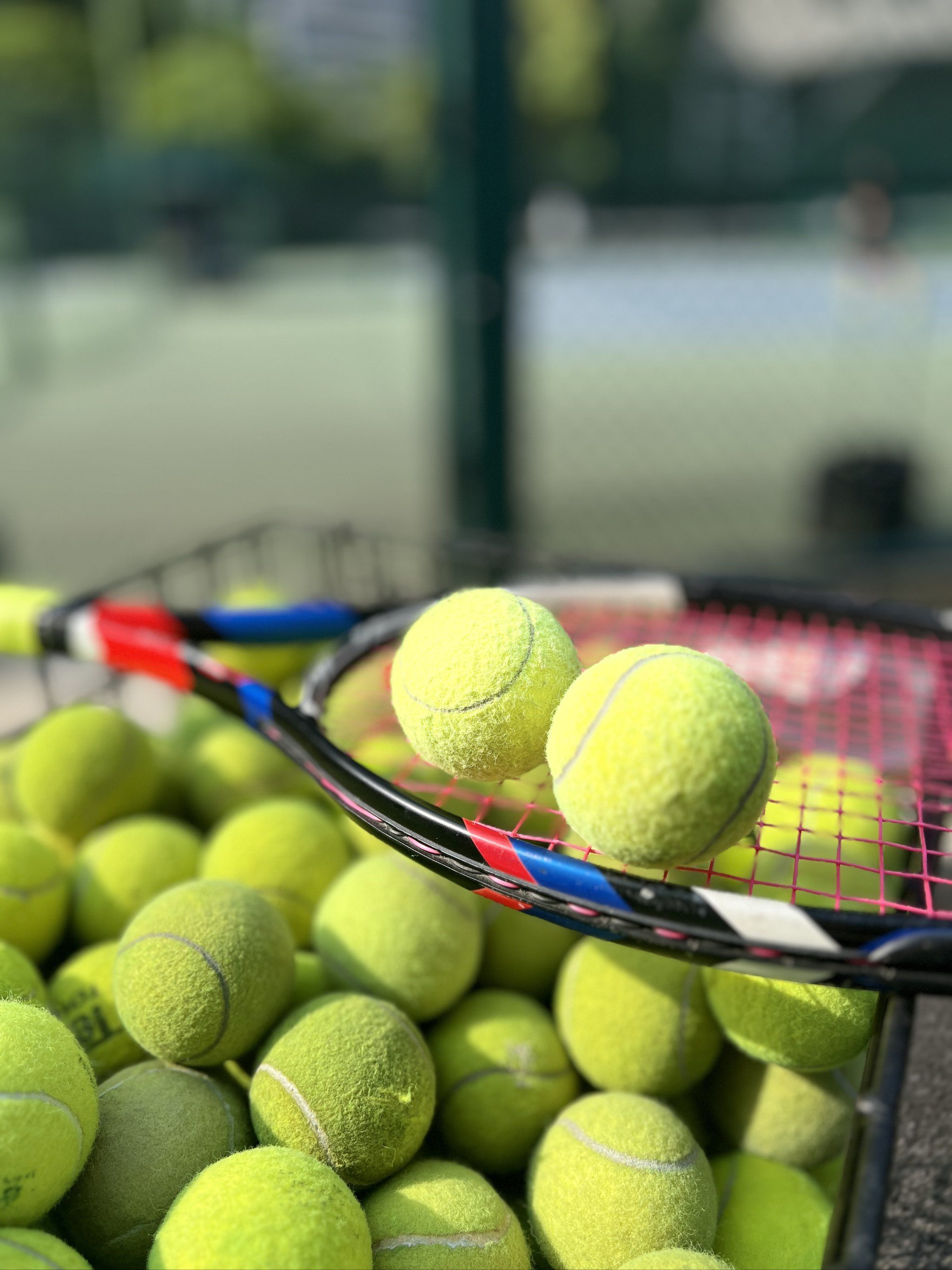 崔康熙是否 崔康熙是否